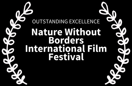 Sinkholes awarded an Outstanding Excellence Award